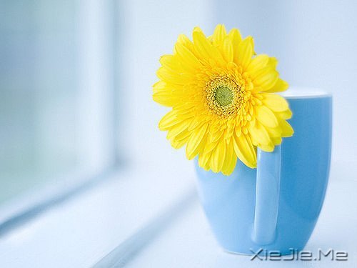 晚安心语:把生活转个身,重新开始 (10)