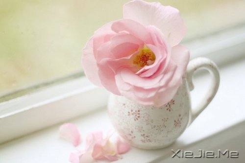 晚安心语:美不过回忆,伤不过别离 (4)