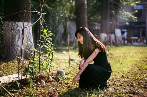 早安心语:只有全力以赴,梦想才能起飞 (5)