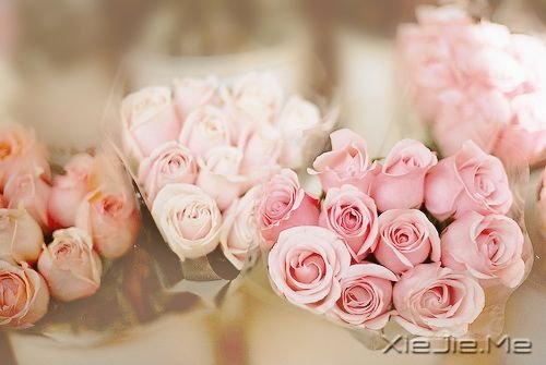 03083 (2) 豁达人生必备的8味良药 (2)